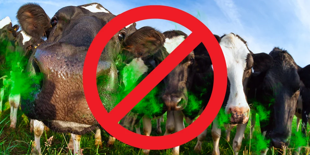 Additif alimentaire Bovaer : Un raccourci industriel aux dangers cachés