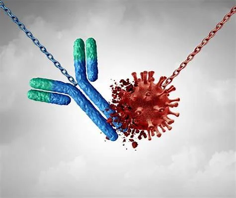 Test auf Masern-Antikörper: Sinnvoll oder Unsinnig 4 Test auf Masern-Antikörper: Sinnvoll oder Unsinnig